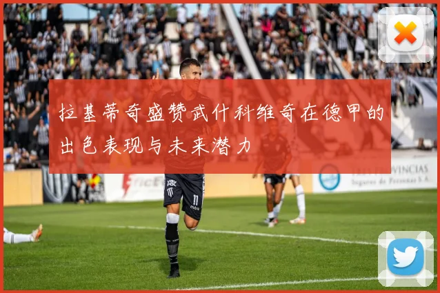 拉基蒂奇盛赞武什科维奇在德甲的出色表现与未来潜力